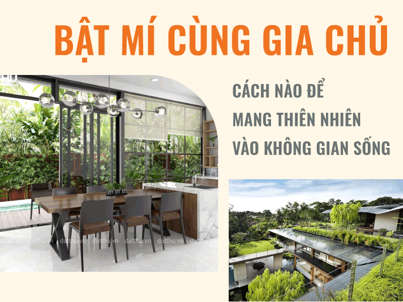 Ccash mang thiên nhiên vào không gian sống